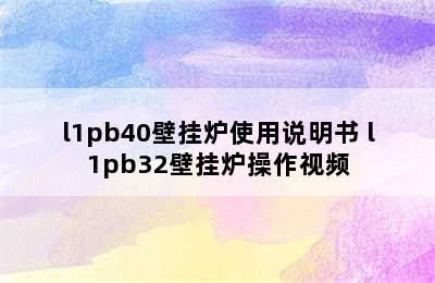 l1pb40壁挂炉使用说明书 l1pb32壁挂炉操作视频